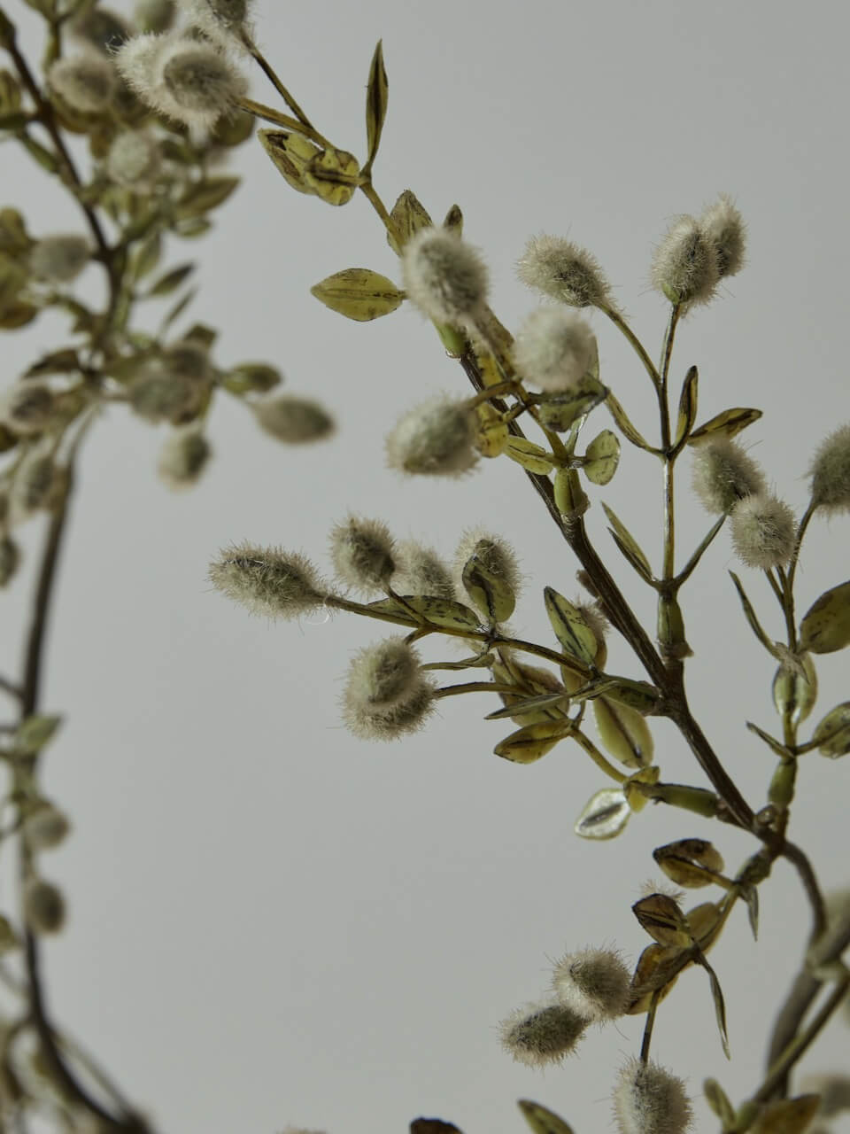Branche de saule artificiel de luxe