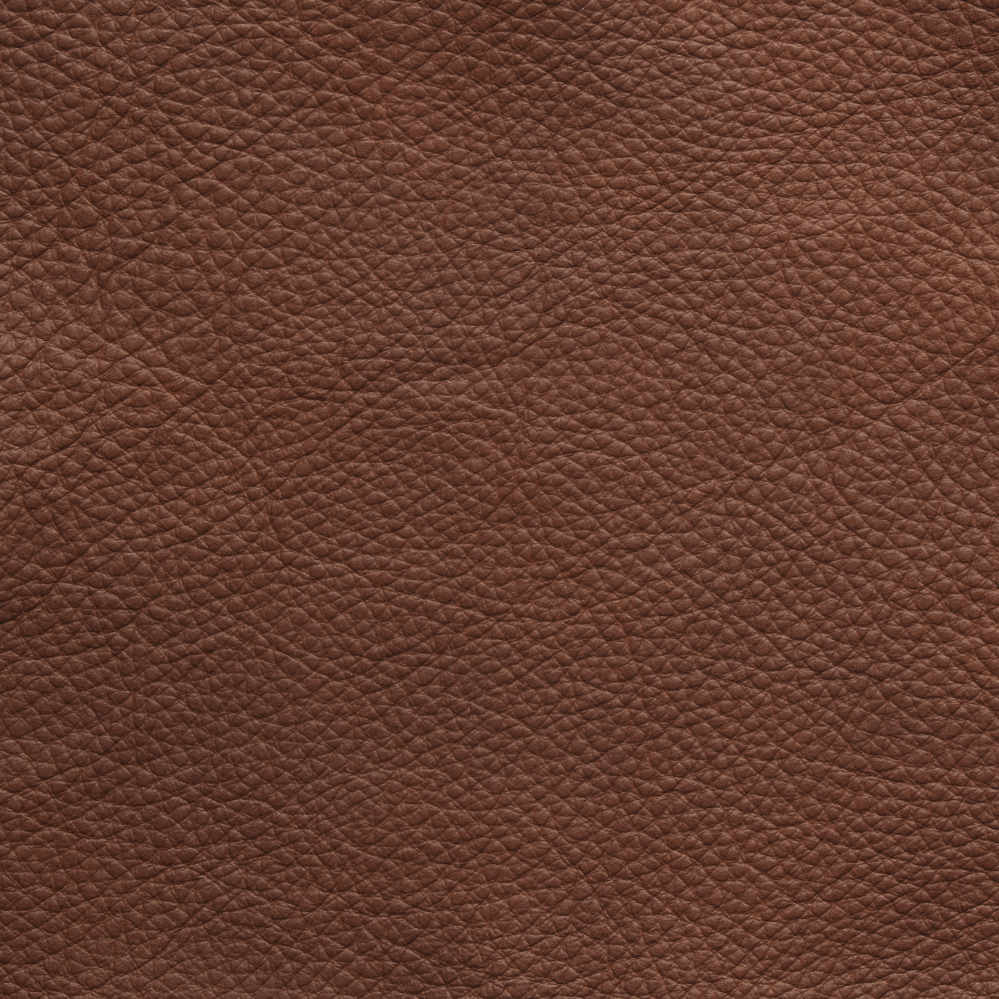 Échantillon de tissu - Cuir - Cognac