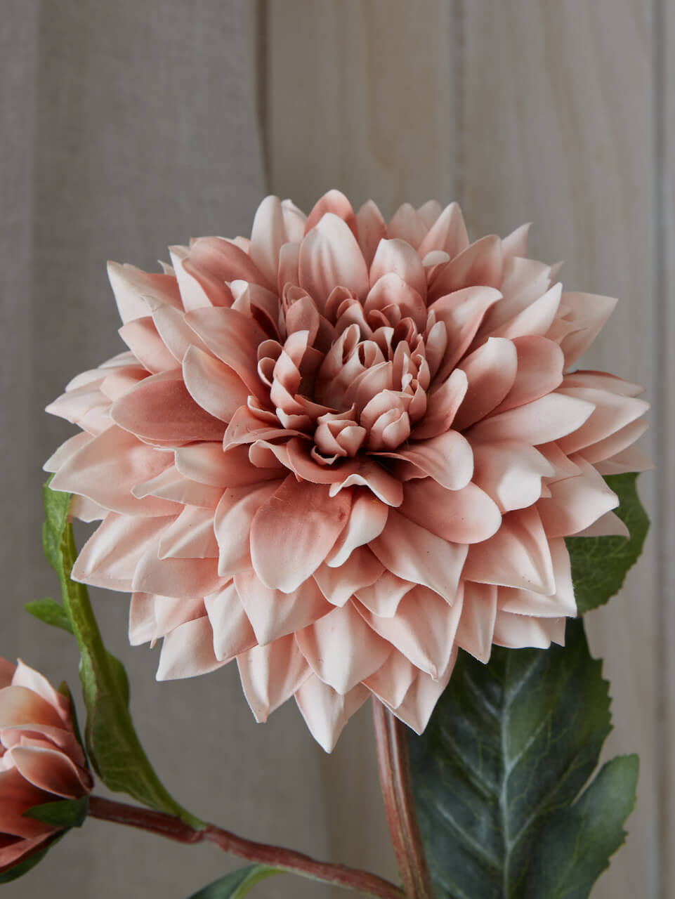 Faux Dahlia Crème de Café
