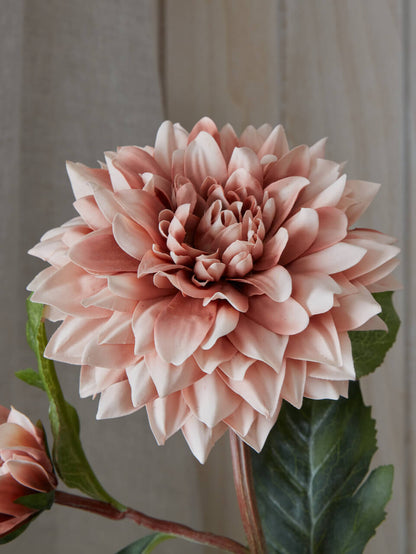 Faux Dahlia Crème de Café
