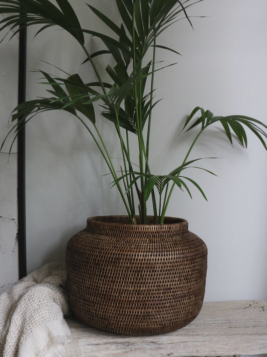 Jardinière en rotin brun antique Maldon