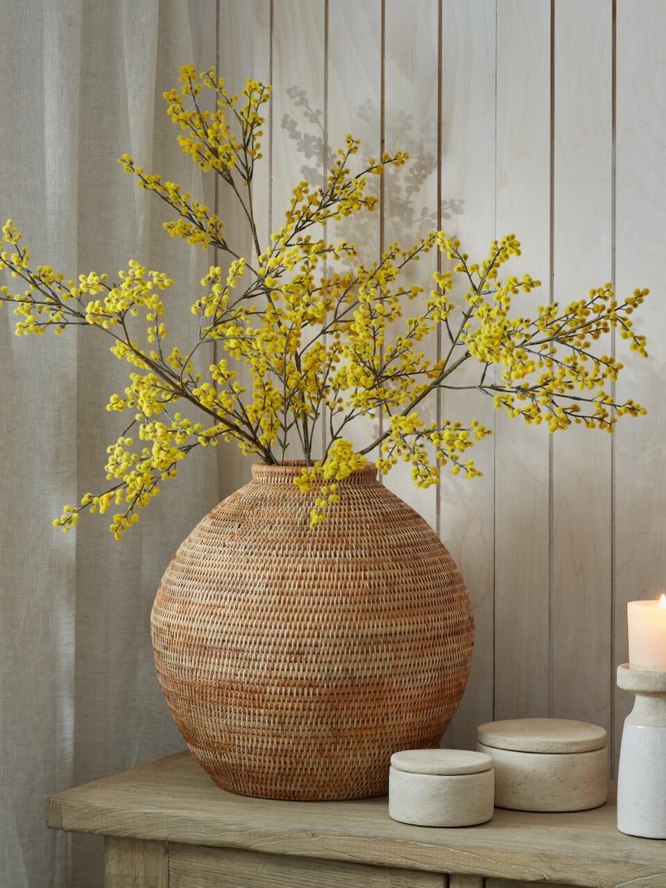 Fausse branche de mimosa