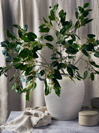 Tige d'eucalyptus à graines artificielles