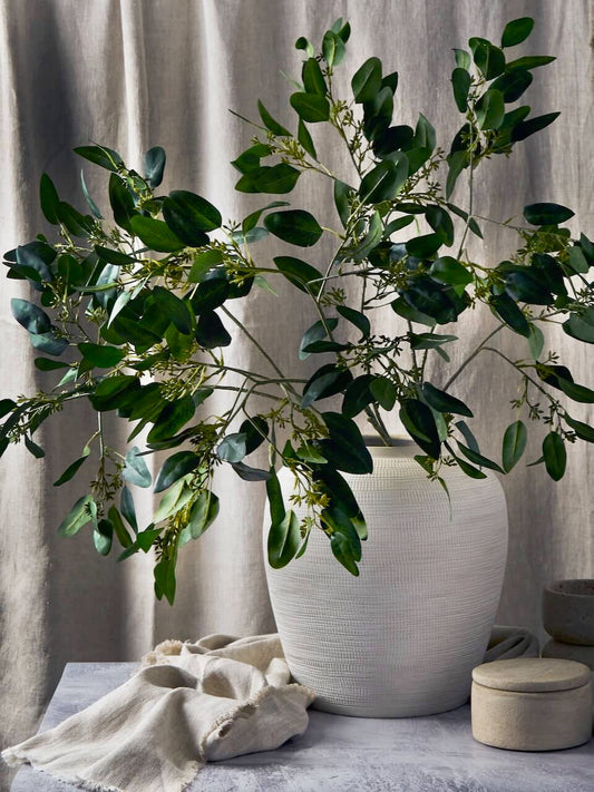 Tige d'eucalyptus à graines artificielles