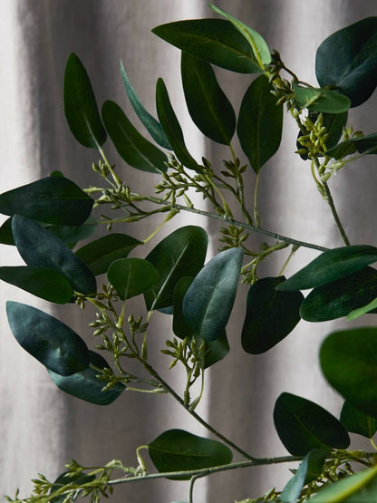 Tige d'eucalyptus à graines artificielles