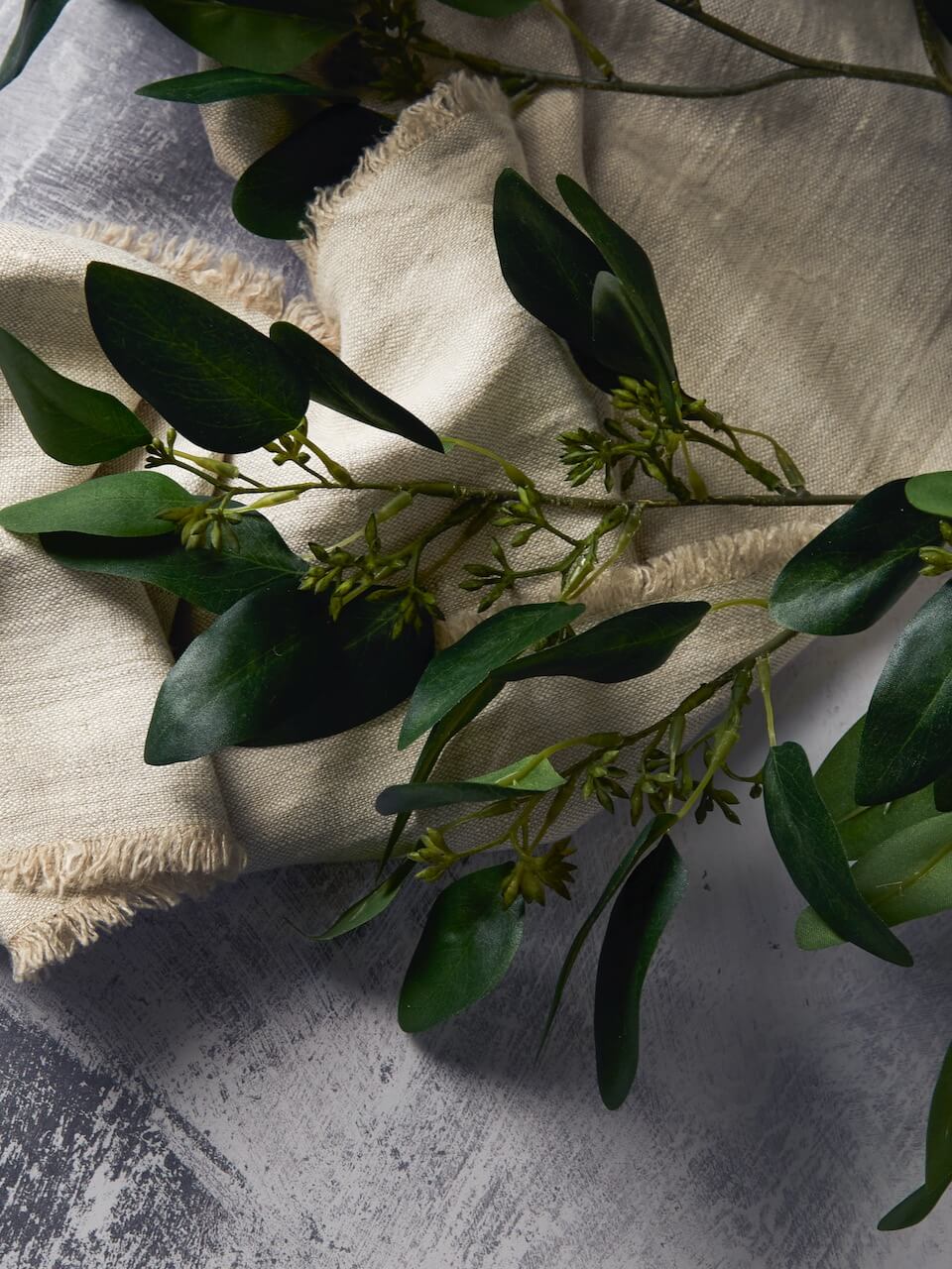 Tige d'eucalyptus à graines artificielles