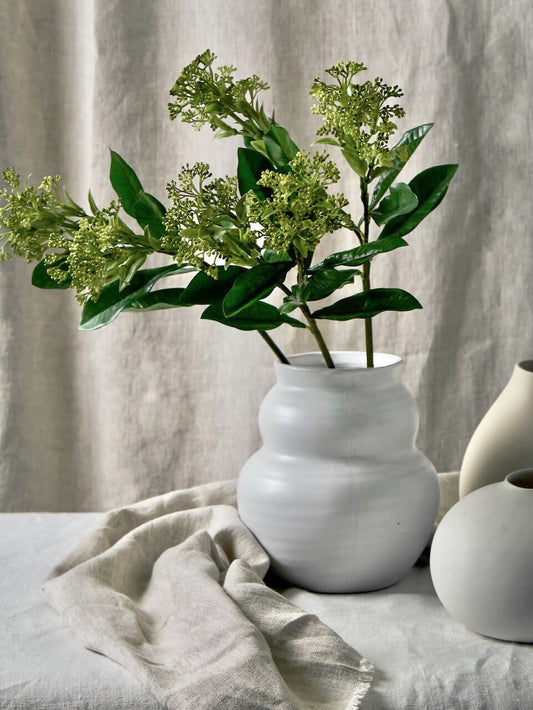 Tige de faux skimmia
