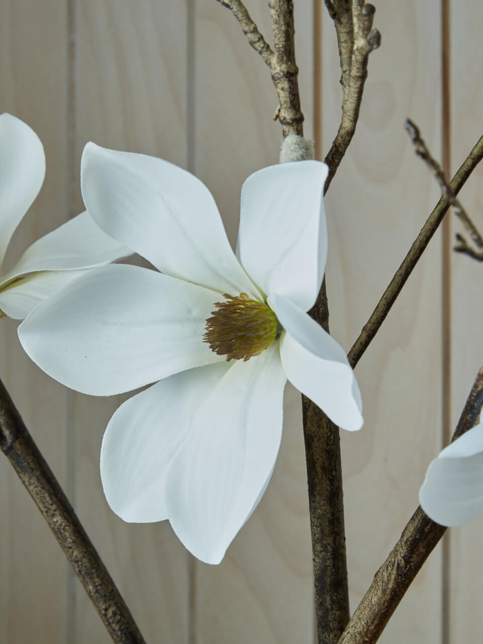 Branche de magnolia blanc artificiel