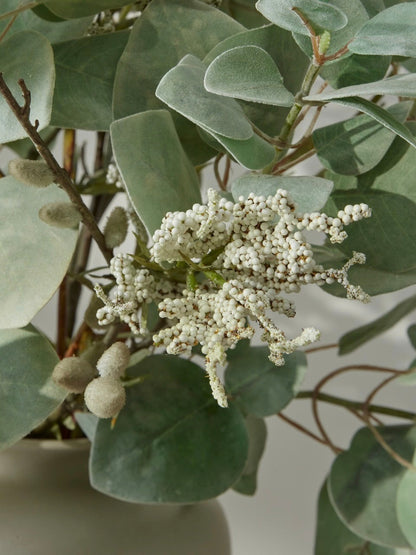 Bouquet de fausses gelées hivernales